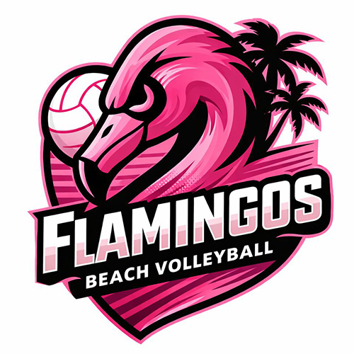Voleibol 2