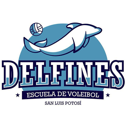 Voleibol playero 5