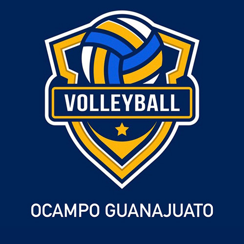 Voleibol playero 6