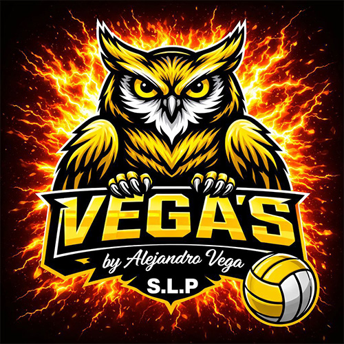 Voleibol playero 7